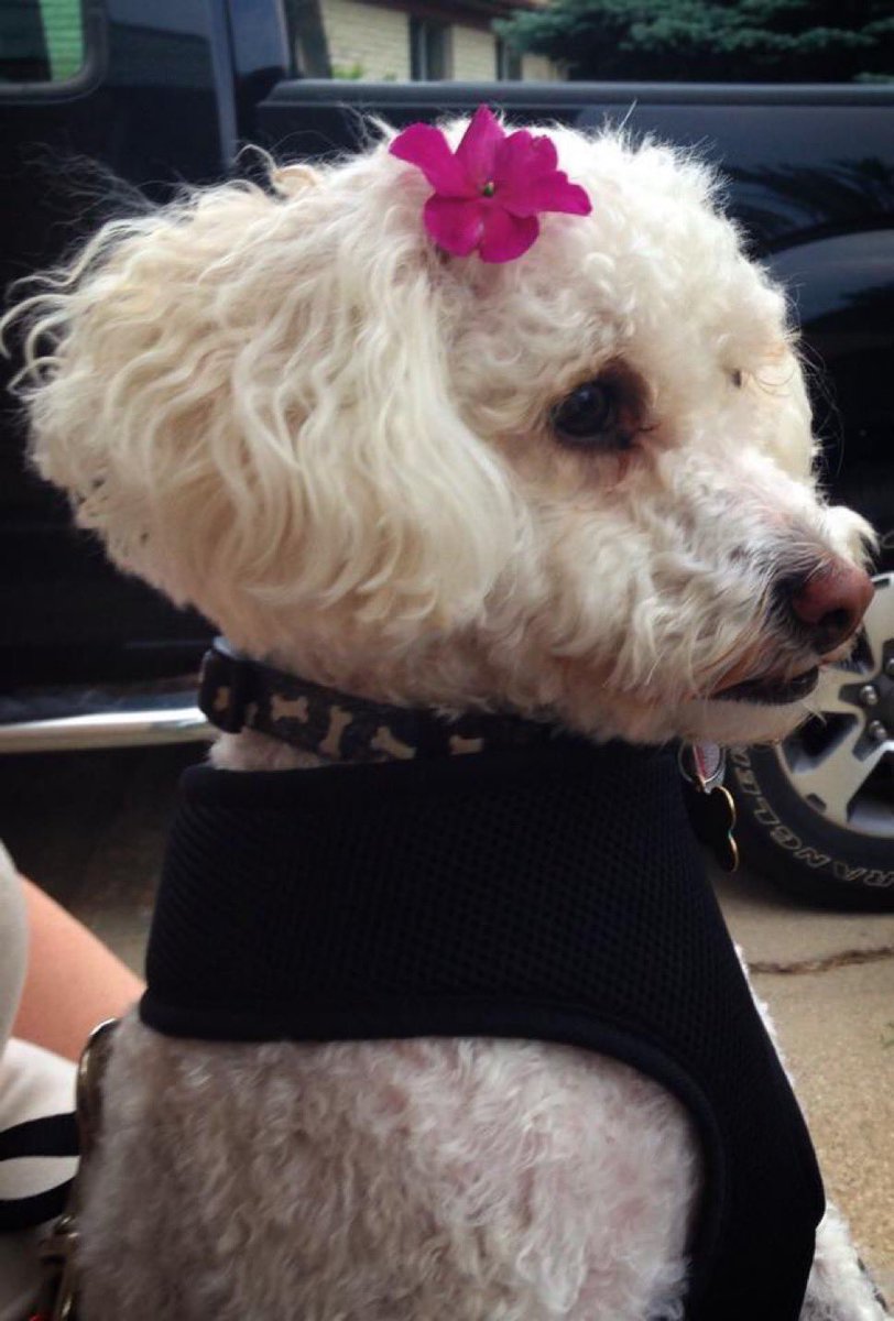 i’m normal tweet media