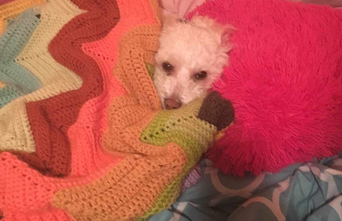 i’m normal tweet media