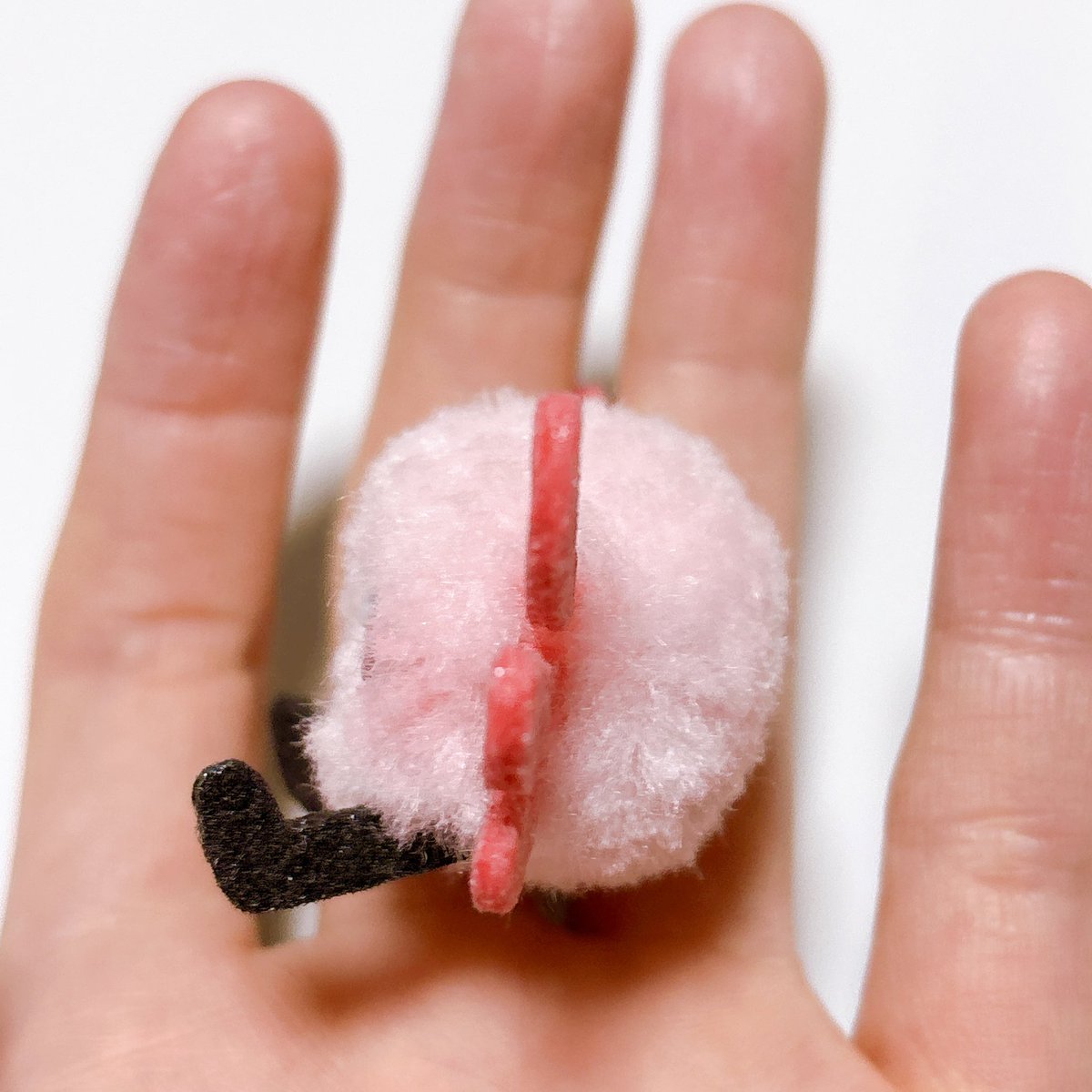 あぽむ🦀🍎 tweet media