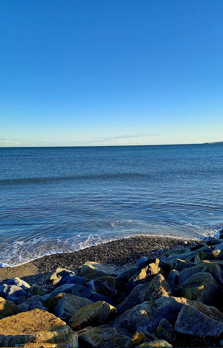 Eilish Sutton tweet media