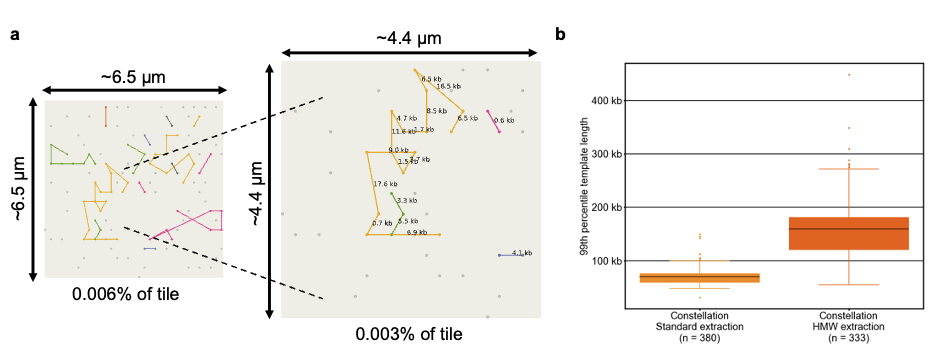 Illumina tweet media