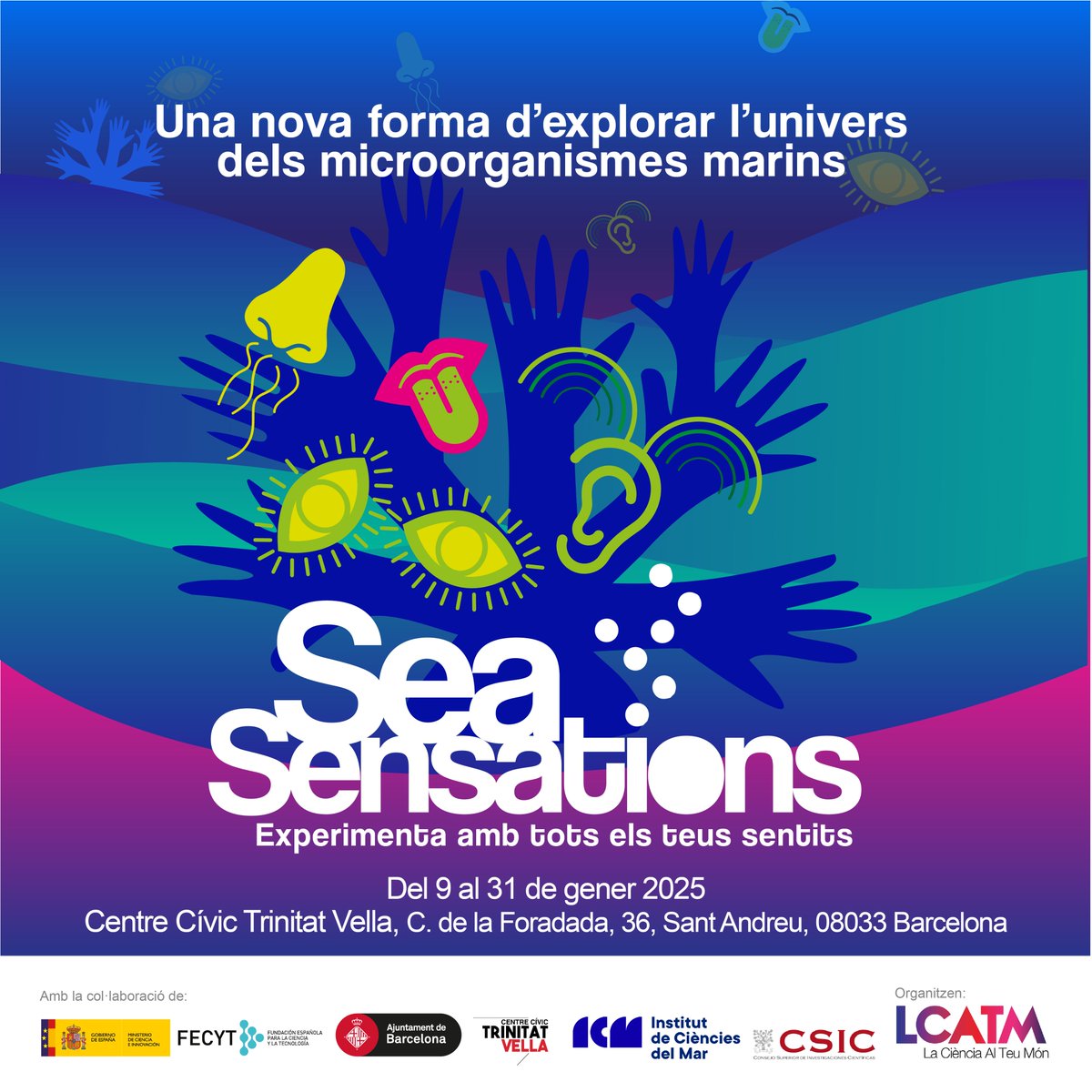 LaCiènciaAlTeuMón (@lcatmon) on Twitter photo Us convidem a l'inauguració de l'Exposició Interactiva "SeaSensations: Experimenta l'univers dels microorganismes marins amb tots els sentits"
9/gener/25 19:30 al Centre Cívic #TrinitatVella, C. de la Foradada, 36, Sant Andreu, 08033
Organitza <a href="/LCATMon/">LaCiènciaAlTeuMón</a> amb la col·laboració de Us convidem a l'inauguració de l'Exposició Interactiva "SeaSensations: Experimenta l'univers dels microorganismes marins amb tots els sentits"
9/gener/25 19:30 al Centre Cívic #TrinitatVella, C. de la Foradada, 36, Sant Andreu, 08033
Organitza <a href="/LCATMon/">LaCiènciaAlTeuMón</a> amb la col·laboració de