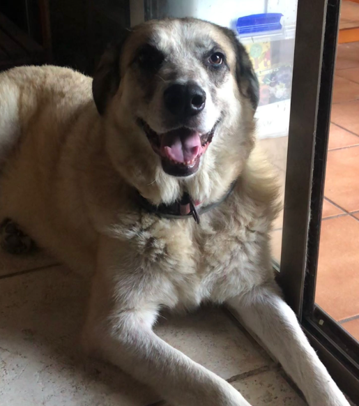 WikiKebabs (freeman) tweet media