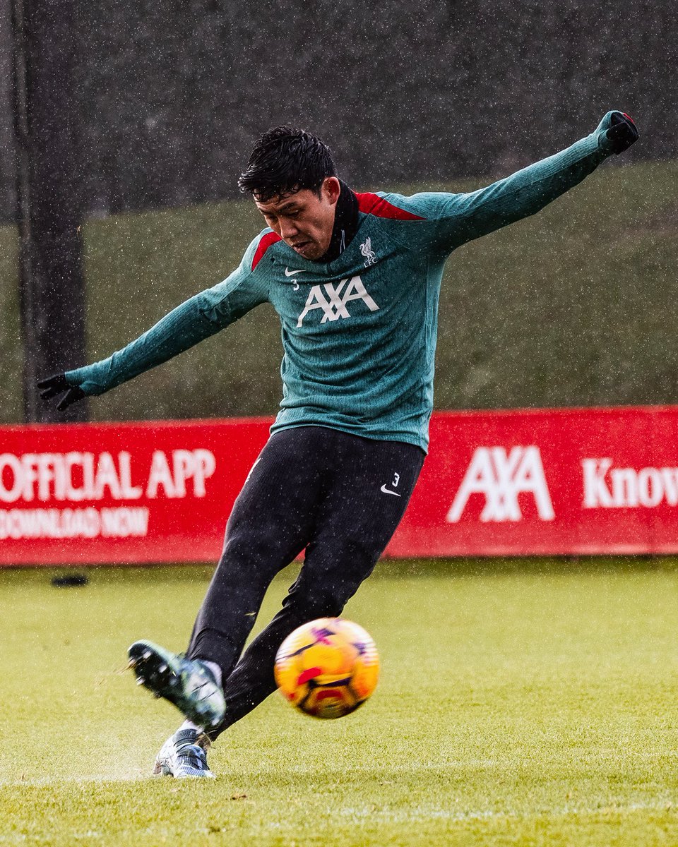 Wataru 💪