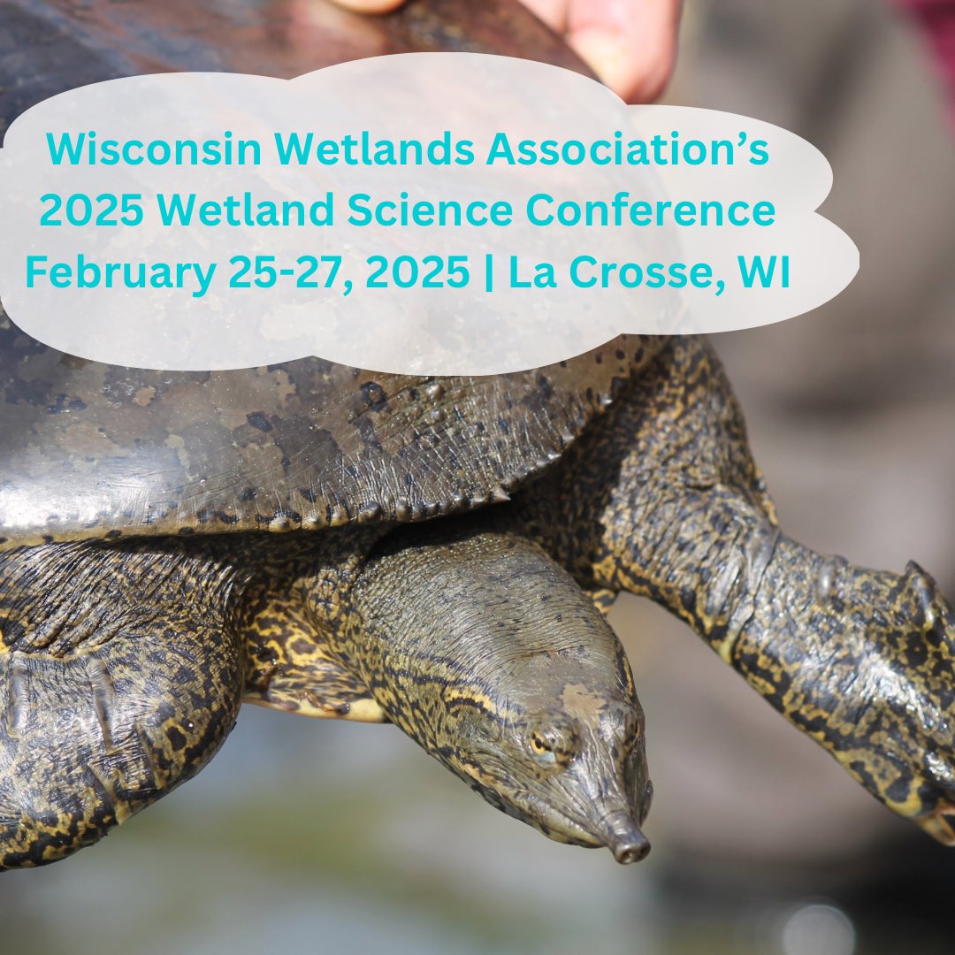 Happy New Year! MWPARC is hosting a table at the Wisconsin Wetland Science conference where you can stop by to learn more about how to get involved and collect some swag!

Register here: conference.wisconsinwetlands.org/registration/!

📸: Jen Moore #wetlands #herps #conservation #conservationbiology