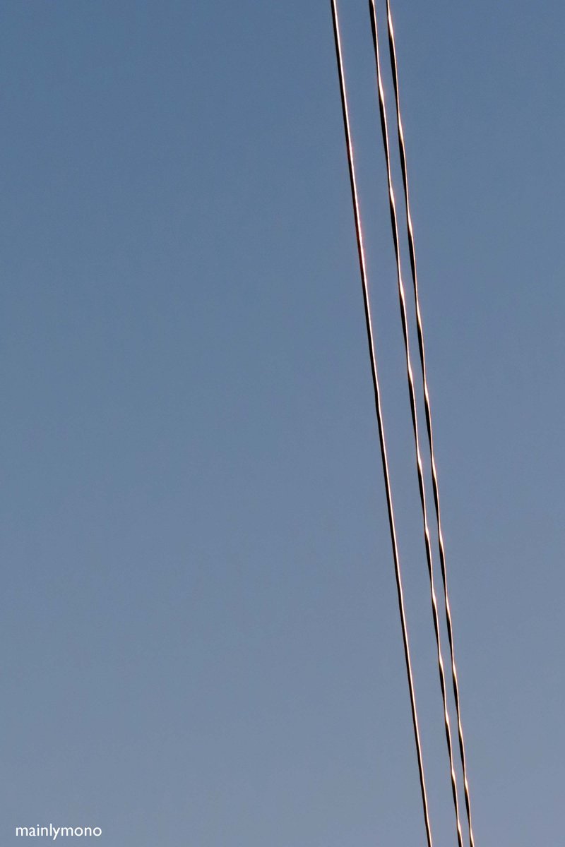 Paul Smith tweet media