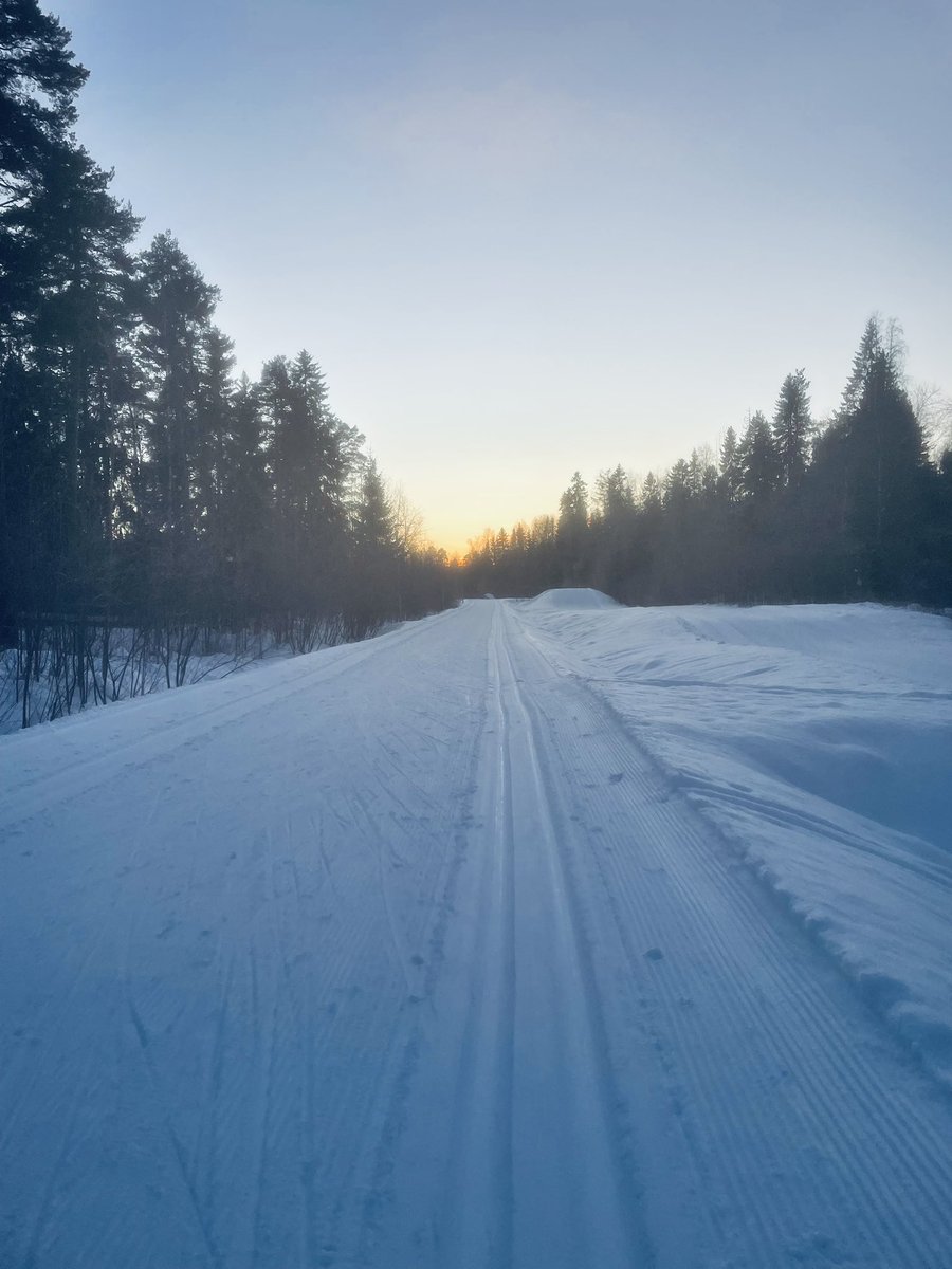 Tänä vuonna olen hiihtänyt joka päivä 👍 

Ja hiihtokauden eka satanen rikki 👍 hyvä alku, toivottavasti pysyy tahti tasaisena.

I 🧡 pertsa
