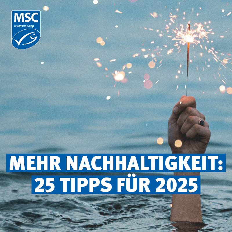 🌍✨ Starte 2025 mit guten Vorsätzen für unseren Planeten! Wir haben 25 praktische Tipps zusammengestellt, die du leicht in deinen Alltag integrieren kannst. Von nachhaltiger Ernährung, Einkaufstipps und Lifestyle bis hin zu umweltfreundlicher Mobilität – gemeinsam können wir
