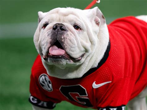BrianEilering's tweet image. #GoDawgs = Family

While most Dawgs fans are upset with how the season ended, I would like to take another approach.

I understand it didn’t end the way we all wanted it to end, myself included. I understand there is unrest and fans looking to blame and fire coaches.

I…