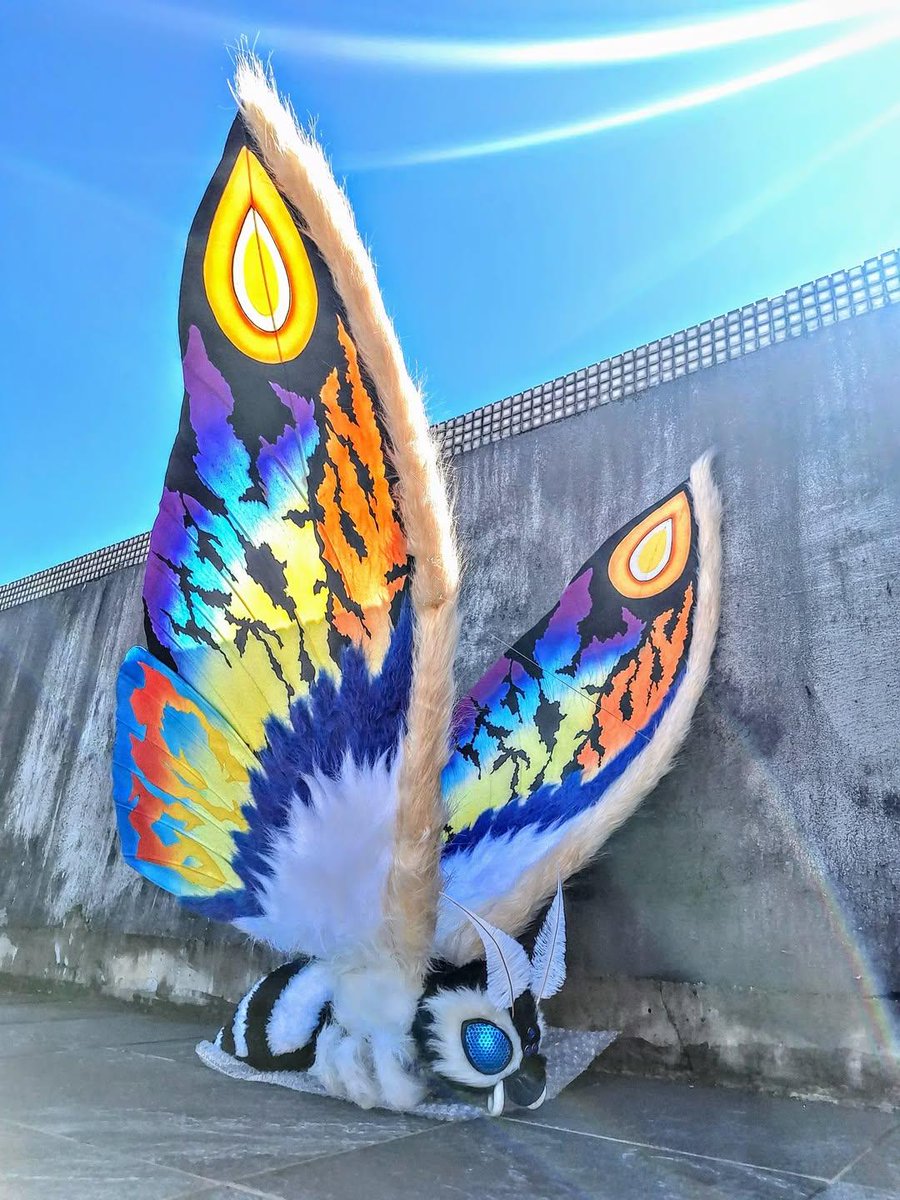 mothra1224's tweet photo. https://t.co/ZFyhmqRgie