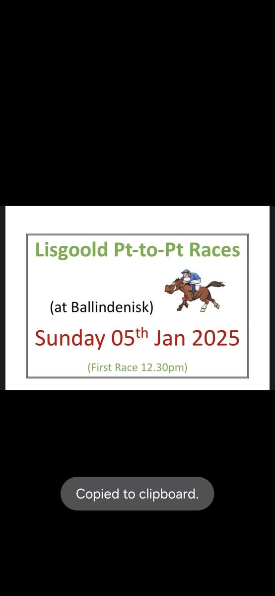 LisgooldCLG's tweet photo. *Reminder of this Sunday* 

Start the new year with a bang, the first point to point meeting of 2025 is taking place for Lisgoold Pt to Pt @ Ballindenisk. We encourage everyone to head out, support and have a ball at the Lisgoold Point to Point. First race on Sunday 5th 12.30pm https://t.co/L7Qoce5JKn