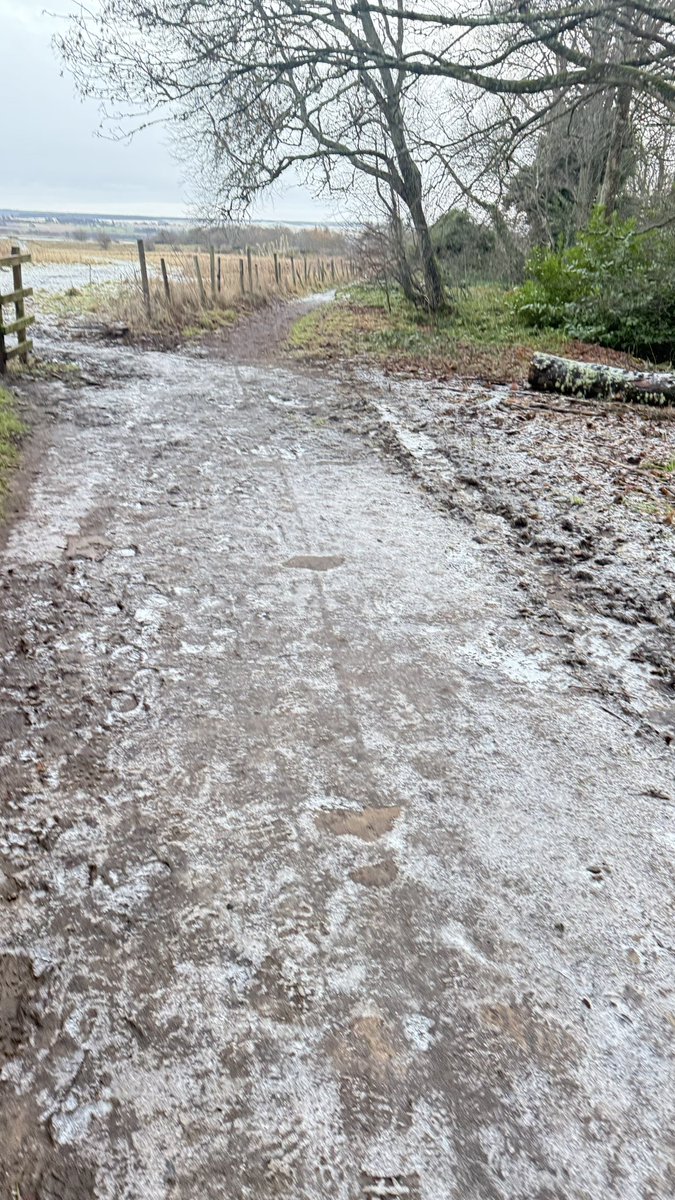 Alness parkrun CANCELLED - Sat 4th January 

The route is very icy, and with the forecast staying cold it’s not likely to improve overnight. We have our fingers crossed for better weather next week. #loveparkrun