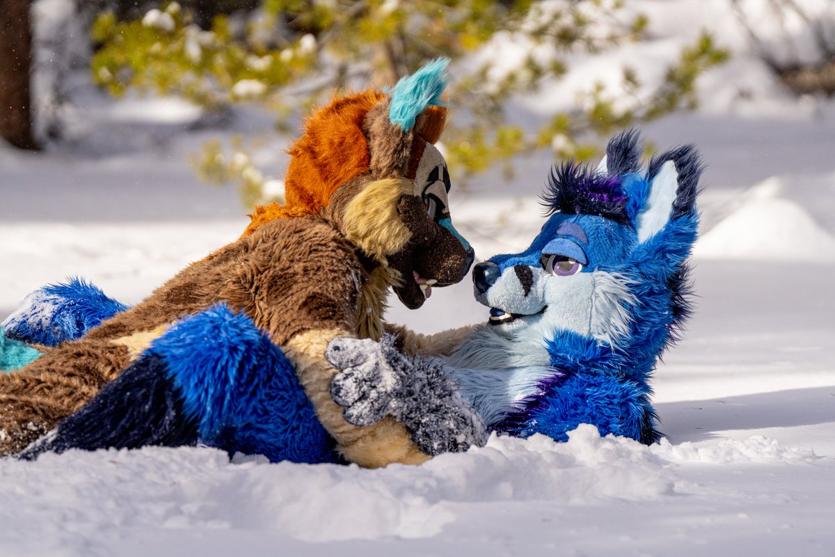 Lyam Yeensen ๐ FWA (@lyamtheyeen) on Twitter photo Yeen is playing in the snow with his suit bro on this #FursuitFriday. Who else wants to play and stare into my eyes?
๐ธ: <a href="/KooperShiba/">๐๐๐๐๐๐ ๐</a>
๐ฆ๐ฆ: <a href="/EtchyEtch/">Etchy ๐ MP</a>
๐งต: <a href="/KilcodoCostumes/">Kilcodo! ๐พ๐</a>
#furry #furries #fursuit Yeen is playing in the snow with his suit bro on this #FursuitFriday. Who else wants to play and stare into my eyes?
๐ธ: <a href="/KooperShiba/">๐๐๐๐๐๐ ๐</a>
๐ฆ๐ฆ: <a href="/EtchyEtch/">Etchy ๐ MP</a>
๐งต: <a href="/KilcodoCostumes/">Kilcodo! ๐พ๐</a>
#furry #furries #fursuit