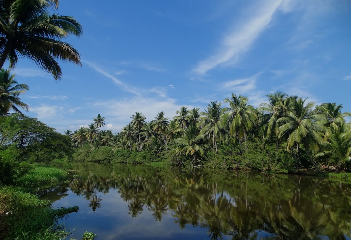 Backwater village scene from Kerala, India : instagram.com/kencegeorgey/