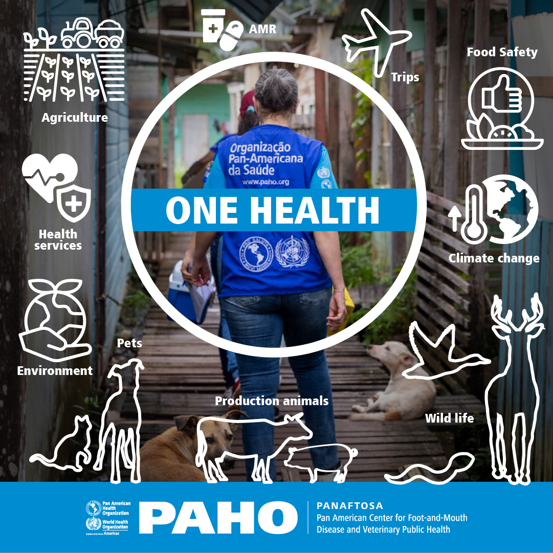 The #OneHealth approach is key to addressing current and future challenges at the interface between humans, animals, and the environment. 

PAHO promotes cross-sectoral coordination to strengthen prevention and preparedness against health threats.

#HealthForAll