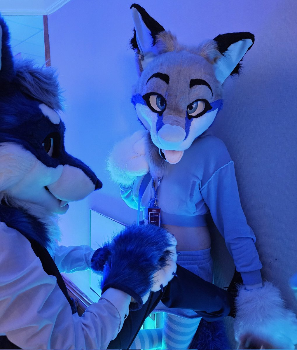 Mafic the Folf~ππCFZ (@maficthefolf) on Twitter photo "My my~ what big eyes you have mister wolf~ OwO"
πΊ - <a href="/LapisWolfe/">πΊπ Lapis Wolfe ππΊ</a>
πΈ - <a href="/ShadeDawg/">Shade β―β― Moved to BSKY @Shade.Dog</a>
#FursuitFriday #Furry #Femboy <a href="/cfconvention/">ConFuzzled</a> "My my~ what big eyes you have mister wolf~ OwO"
πΊ - <a href="/LapisWolfe/">πΊπ Lapis Wolfe ππΊ</a>
πΈ - <a href="/ShadeDawg/">Shade β―β― Moved to BSKY @Shade.Dog</a>
#FursuitFriday #Furry #Femboy <a href="/cfconvention/">ConFuzzled</a>