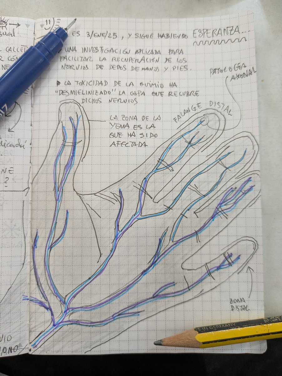 Investigación, ciencia y esperanza, mi santísima trinidad. Completada por el amor, la intuición y la voluntad interior. #CancerFighter