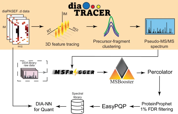 PastelBio's tweet photo. diaTracer enables spectrum-centric analysis of diaPASEF proteomics data https://t.co/GTx61Y6JWN

---
#proteomics #prot-paper https://t.co/iAGAPeUNU5