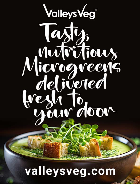 Fresh, tasty, nutritious Microgreens hand cut &amp; packed, UK next day delivery to your door 🌱🌱🌱 Grown in Wales 🏴󠁧󠁢󠁷󠁬󠁳󠁿 without any harmful chemicals or pesticides - first deliveries mid Jan - #veganfood #vegan #healthyfood #healthyeating #healthymeals #gastro .<a href="/veganfoodliving/">Vegan Food and Living 🌱</a>