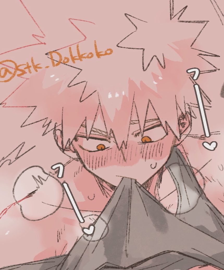 現地球、値段交渉OK！コミフォラサクシコラ 幹太 【公式通販】