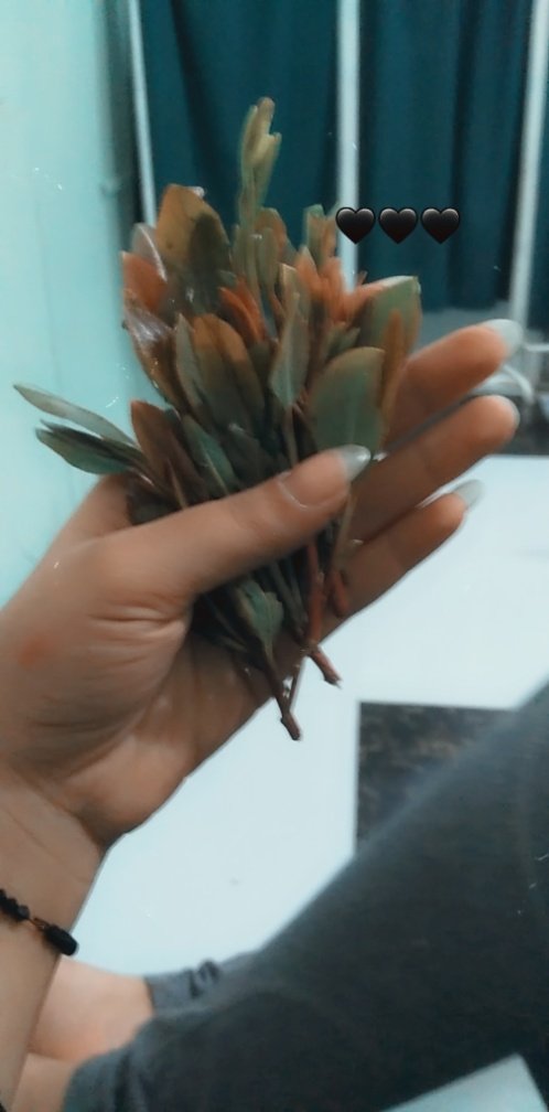 جوهره صنعانية 💕 (@is5555is) on Twitter photo 