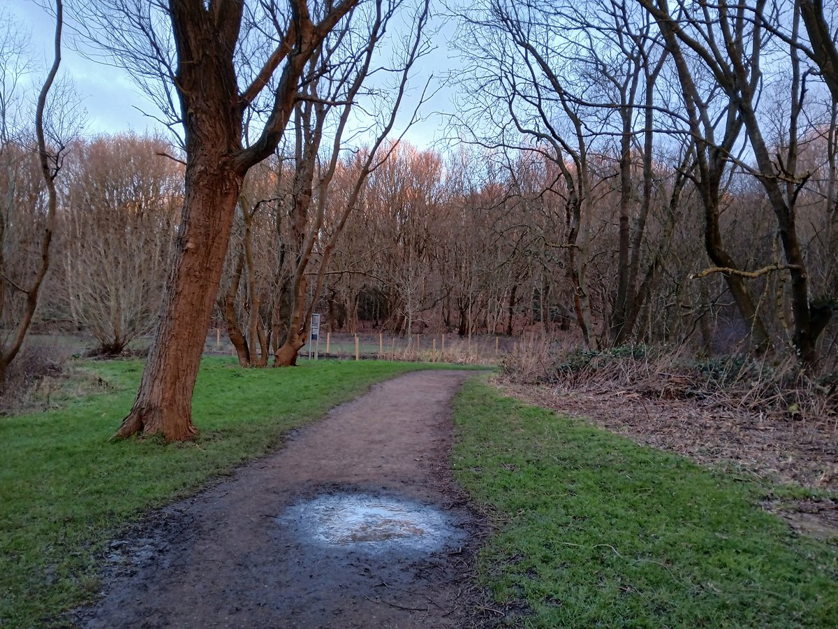 paulcli's tweet image. 4 miles today at 10:44 pace :)