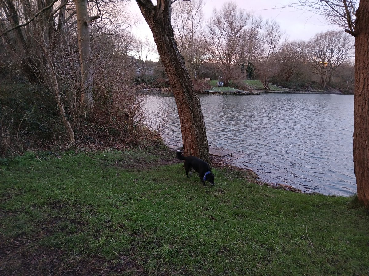 paulcli's tweet image. 4 miles today at 10:44 pace :)