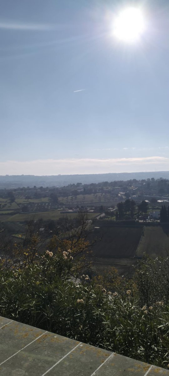 DidonnaLab's tweet image. Apulia highlands ⛰️