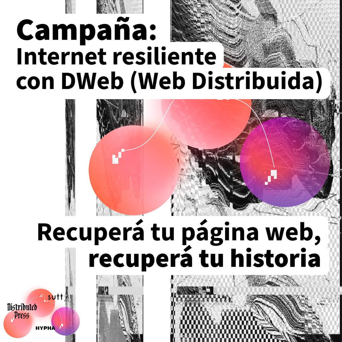 SuttyWeb tweet media