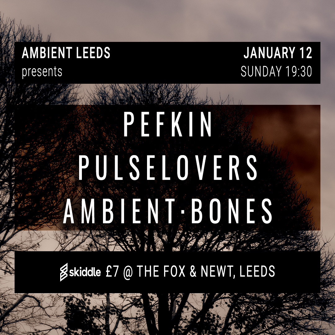 My first gig of the year is just over a week away!
I will be heading up to Leeds to play at the Fox and Newt courtesy of Ambient Leeds.
Also playing are the very fine Pulselovers and Ambient Bones.
This will be a mostly improvised set of heavily processed synth, voice and viola.