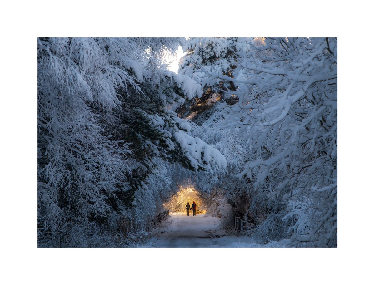 Malcolm Robertson (@mrobertson) on Twitter photo Walking up to the Pentland hills yesterday, near Edinburgh. Winter… Walking up to the Pentland hills yesterday, near Edinburgh. Winter…