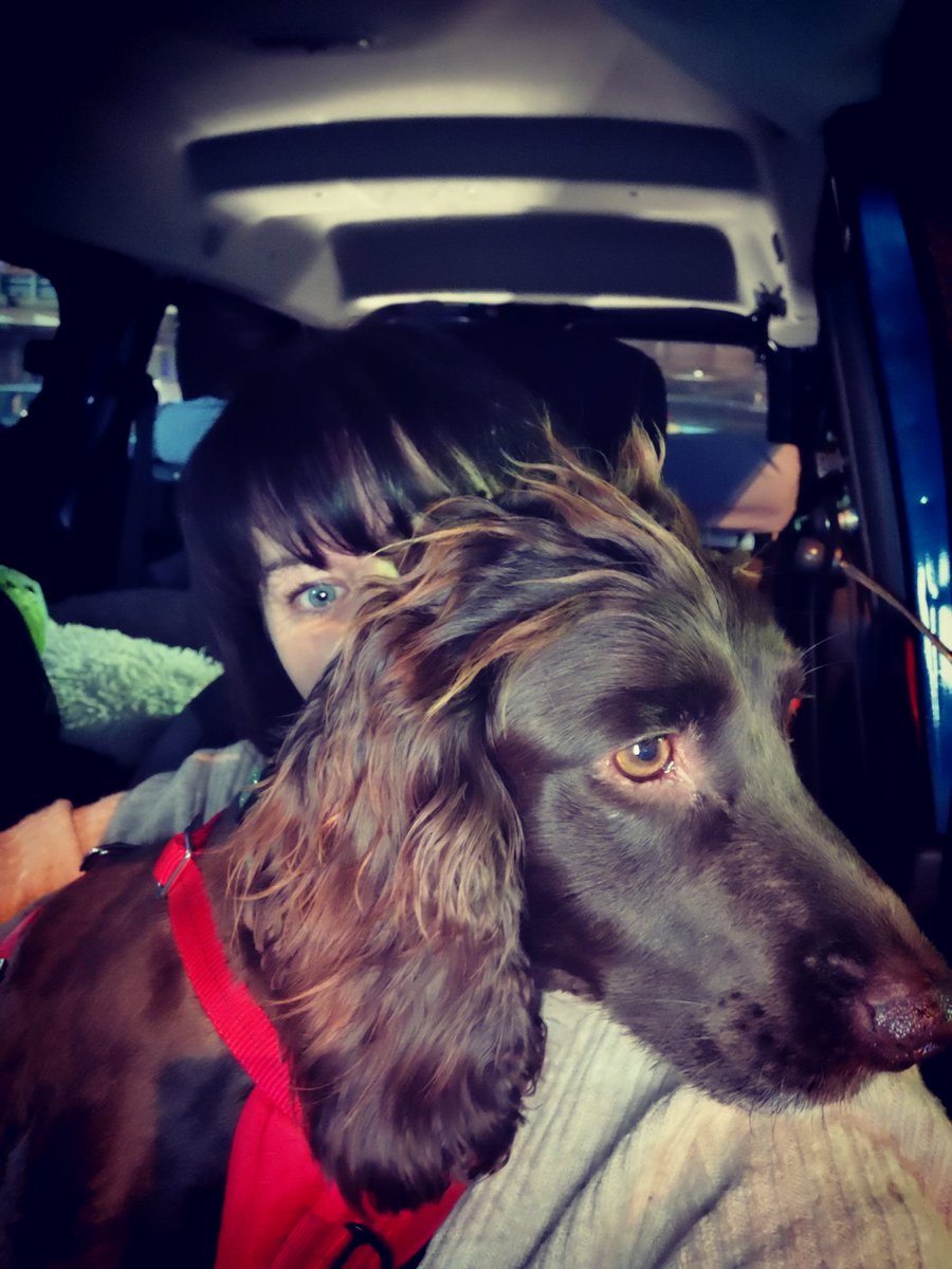 Heading back to switzerland to face 2025. Hoping it might be slightly warmer then england, especially as I'll be sleeping in the camper tonight. Thank goodness for my fur hot water bottle