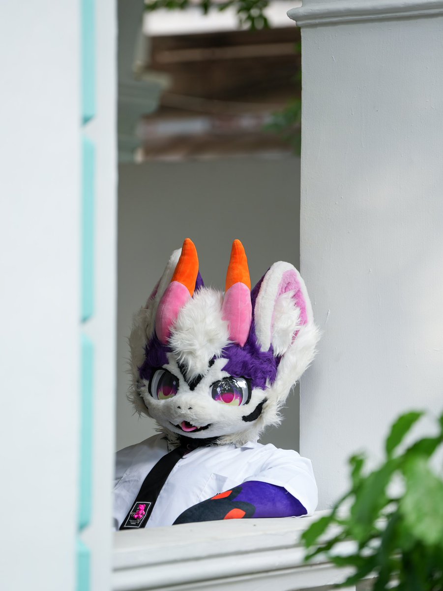 阳光是最好的滤镜 #FursuitEveryday