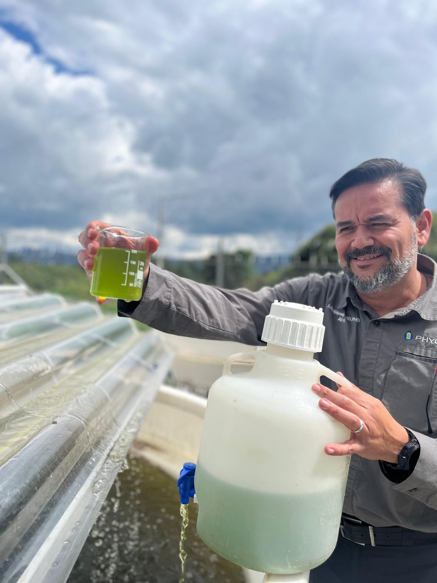 Seguimos logrando densidades competitivas a 2.600 msnm y temperaturas inferiores a 10 grados Celsius 🤓! #AlgaePower <a href="/TeamAlgae/">TeamAlgae</a> <a href="/vsivasubraman/">Sivasubramanian</a>
