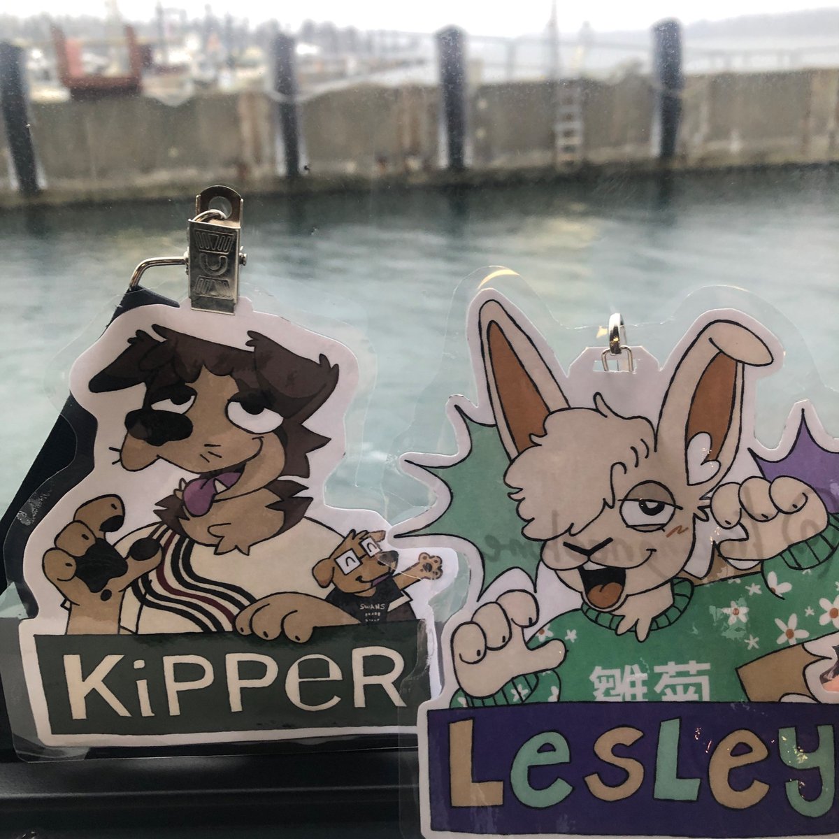 Hello Anthro Northwest 2025
👋🐶👋🐰