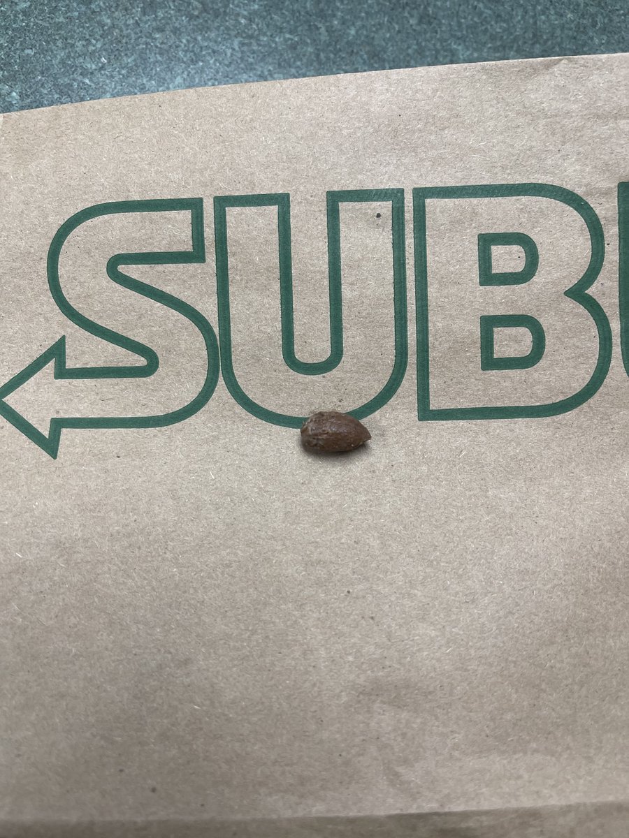 .<a href="/SUBWAY/">Subway®</a> I appreciate that you use fresh veggies but could you at least remove the pit from the olive? #ouch but I also learned today that olives have pits.