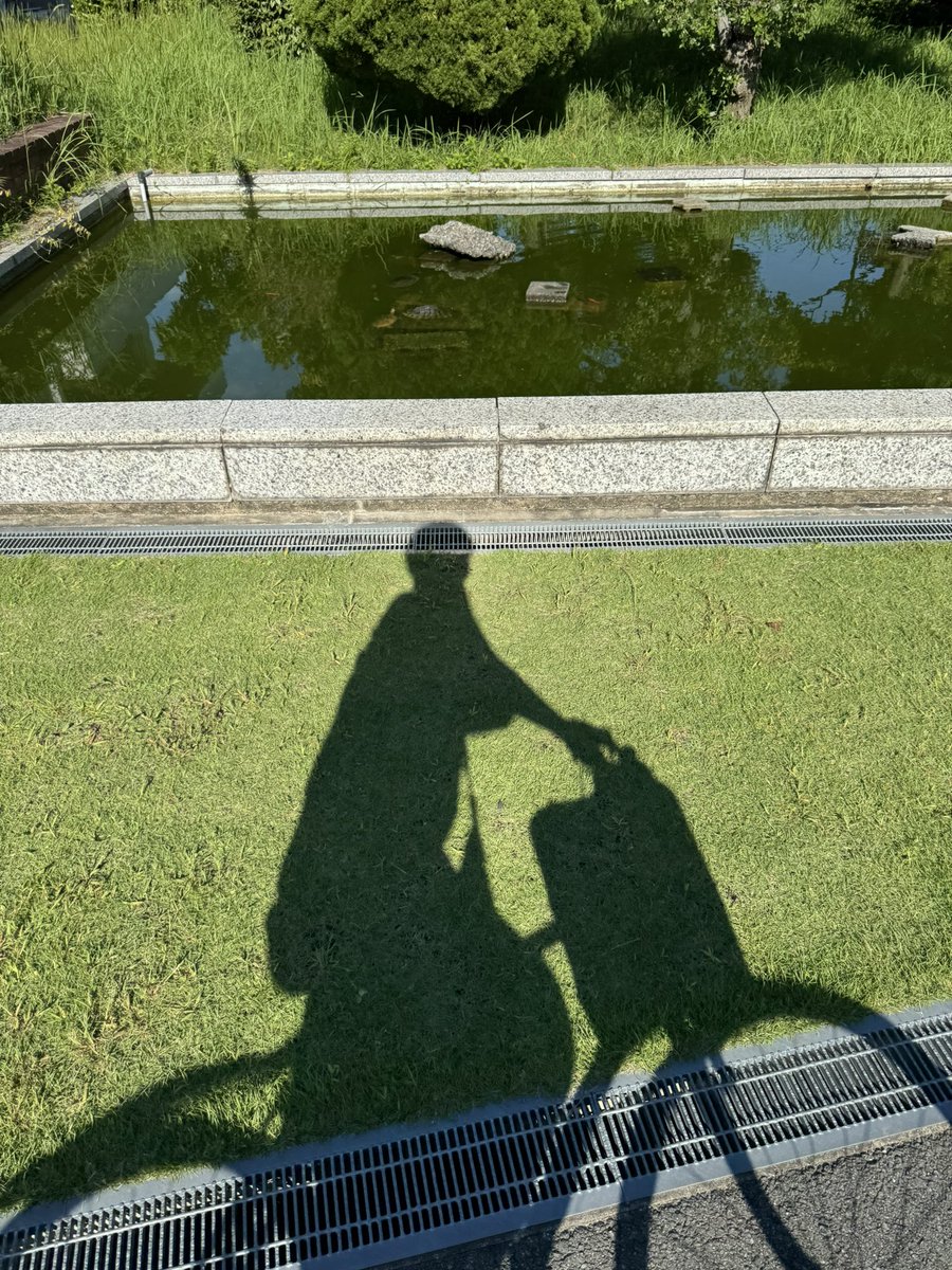 nonomae_01's tweet photo. #三重  #四日市  #津  #伊勢  #鈴鹿  #桑名  #松阪  仲良くしてくれる人ほしい https://t.co/11GYCH1Lu6