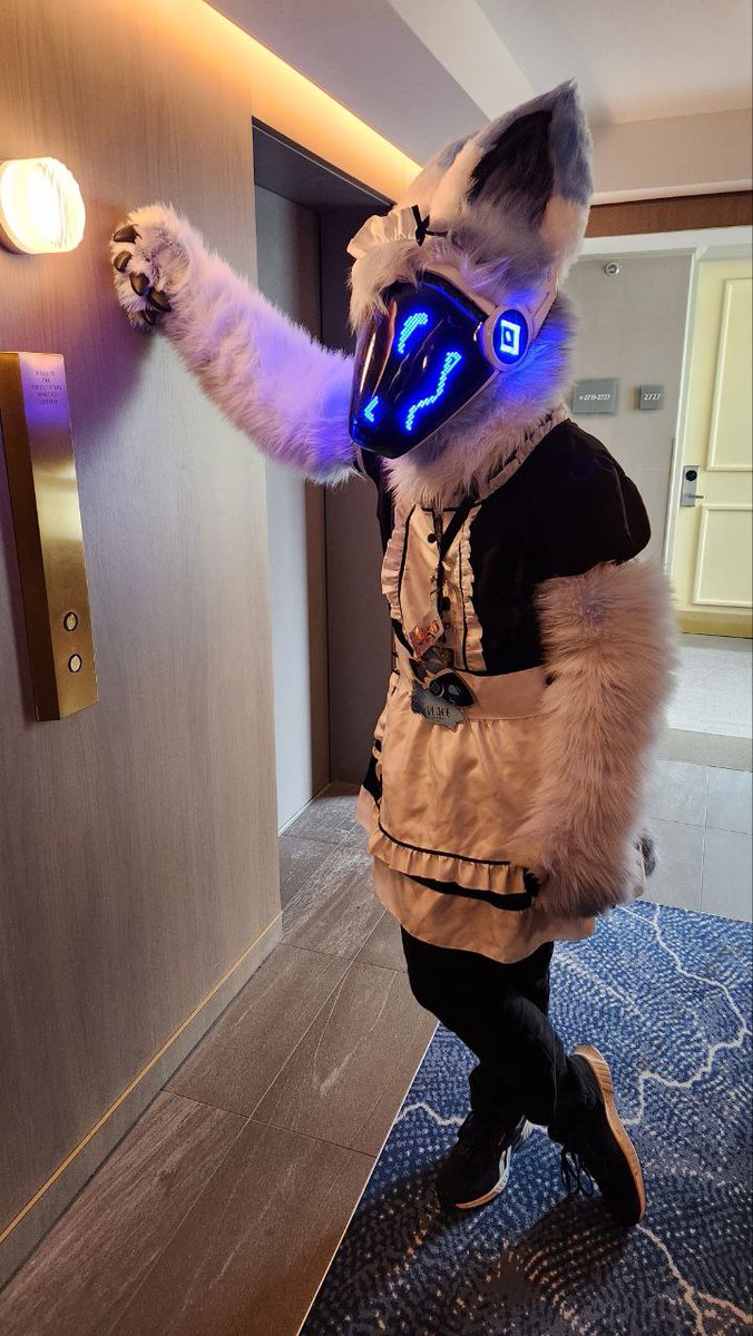Waiting for the next room to clean.

Who need a protogen maid ? 

#FursuitFriday
📸: <a href="/ThePurpleWicker/">Aurora 🔜 TFF</a>