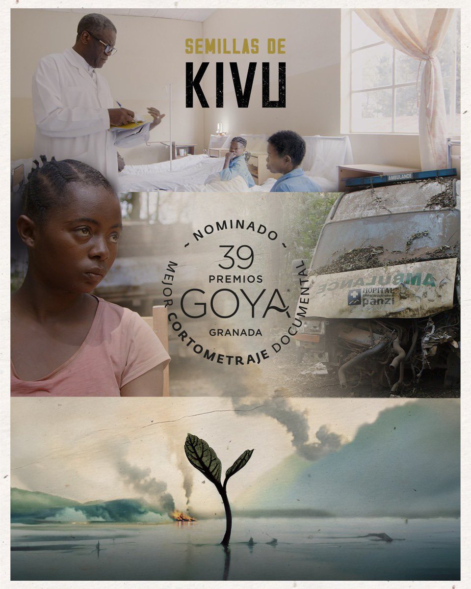 Mujeres violadas como arma de guerra. Un hospital en medio de la selva congoleña. Un corto documental rodado en una de las zonas más peligrosas del mundo ☠️ #SEMILLASDEKIVU Por favor, ayudadnos a darle difusión 🌱⭐️ <a href="/PanziHospital/">Hôpital G.R de Panzi</a> <a href="/jordievole/">Jordi Évole</a>