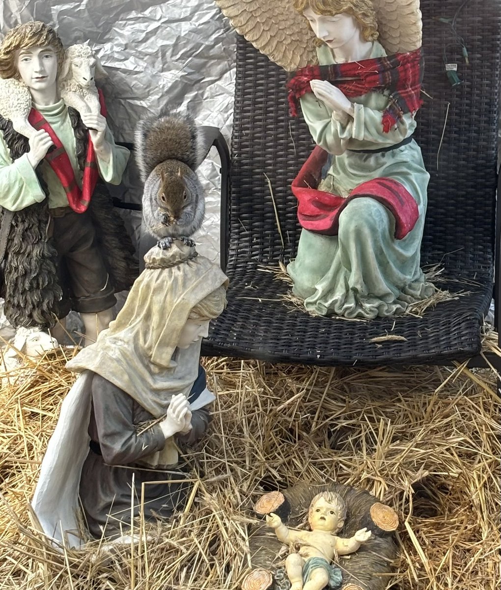 It’s not just the three Kings coming to adore Christ the Savior, but also a very prayerful squirell! (Take a good look at the pics!:) In the Incarnation, God lifts up and renews all of creation!