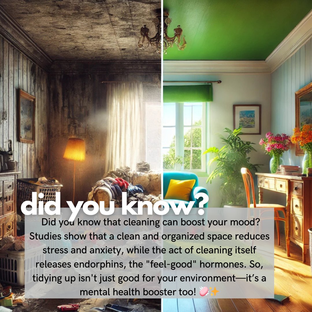 Essential Oils: Use a diffuser or cotton balls with oils like lavender.
DIY Air Fresheners: Mix water, baking soda, and essential oils in a spray bottle.
Air-Purifying Plants: Add peace lilies or snake plants.
Coffee Grounds: Absorb odors naturally.
Regular Cleaning: Empty trash