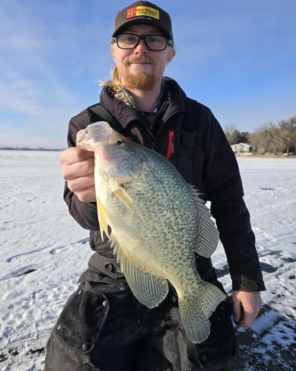 NorthlandTackle's tweet photo. Let's see some of your catches from this ice season! Show 'em off in the comments below! 👌🎣 #ShowEmOffSunday #TeamNorthlandTackle https://t.co/q6NTF2xc96