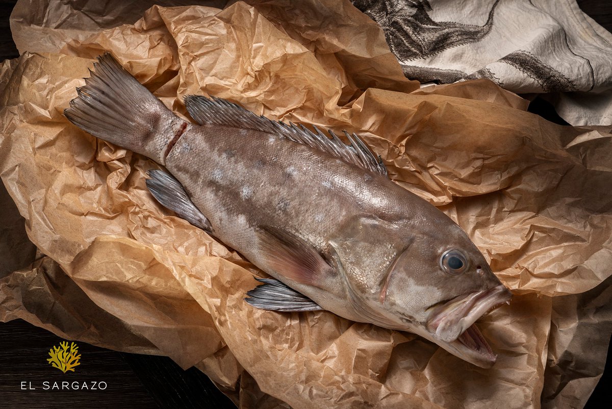 El Sargazo tweet media