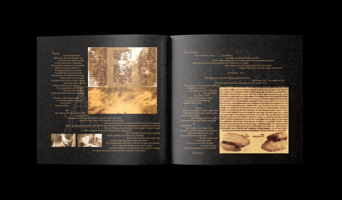 🇵🇸 material girl 🇵🇸 tweet media