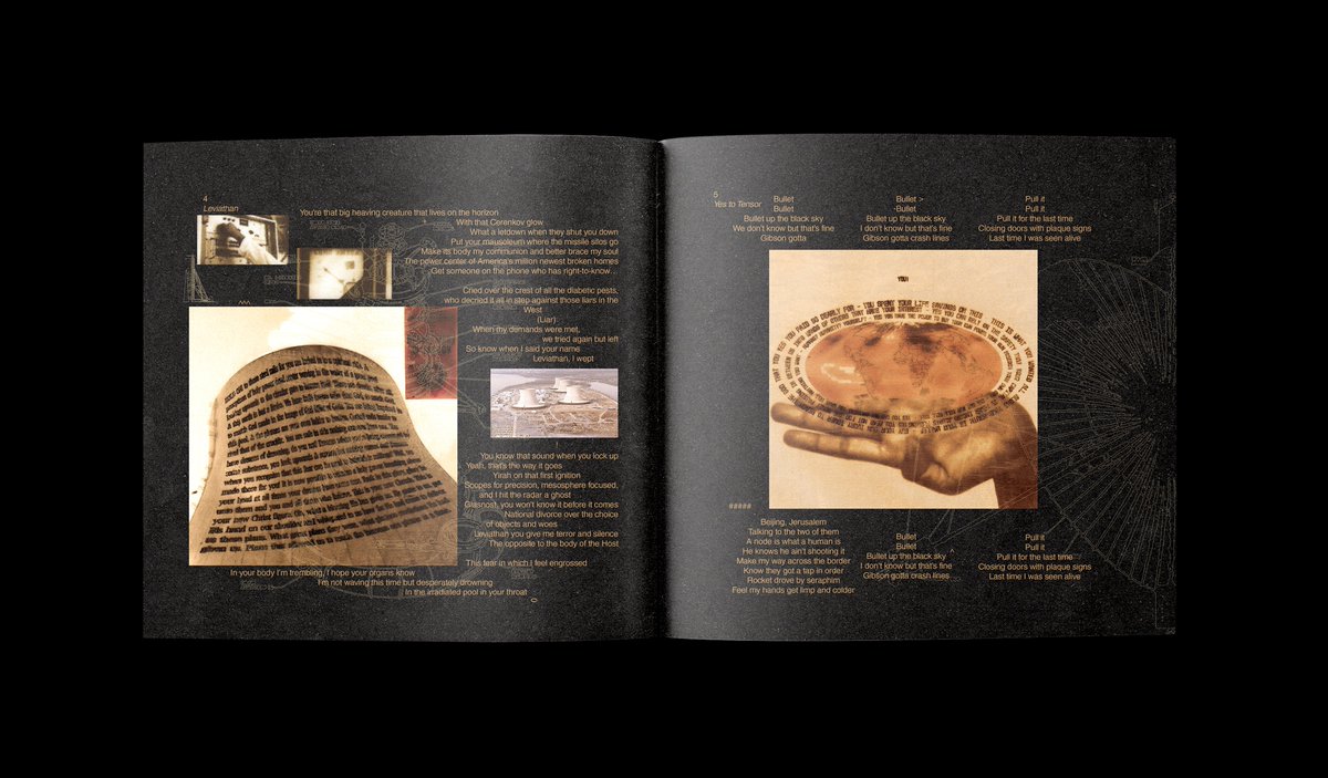 🇵🇸 material girl 🇵🇸 tweet media