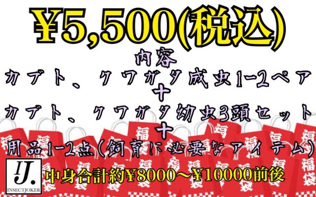 本日は12:00〜19:00にて整理券配布なしの自由入店です⭐️ これから