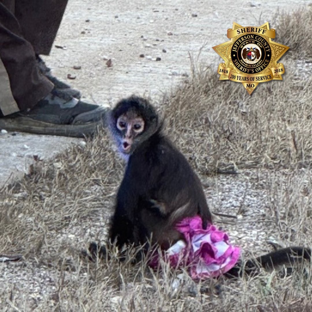 Jefferson County, MO Sheriff's Office tweet media