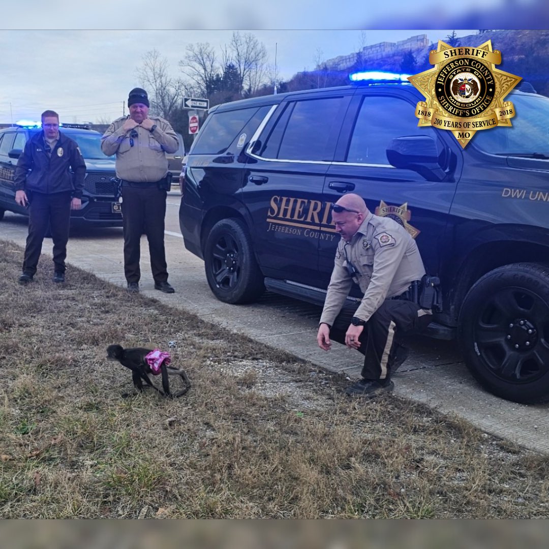 Jefferson County, MO Sheriff's Office tweet media