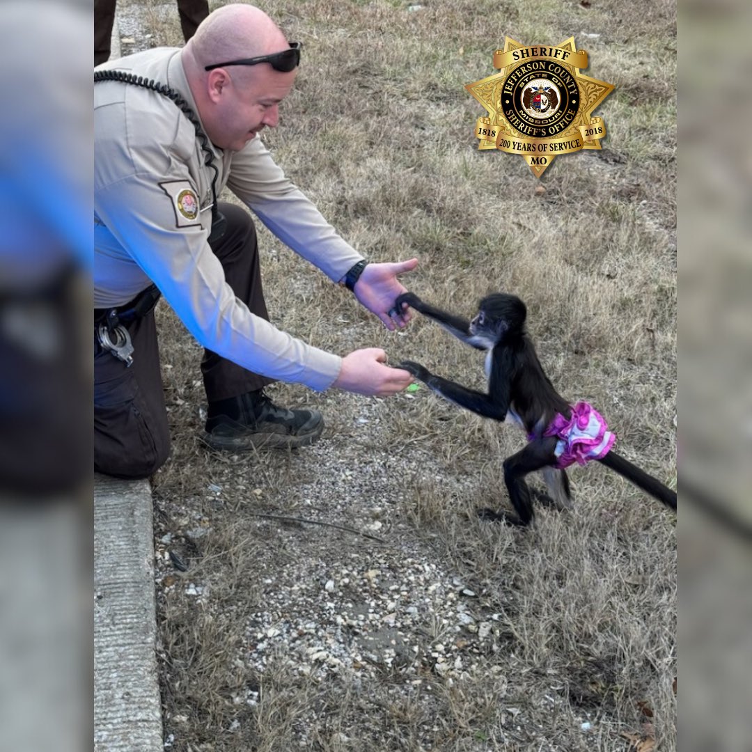 Jefferson County, MO Sheriff's Office tweet media