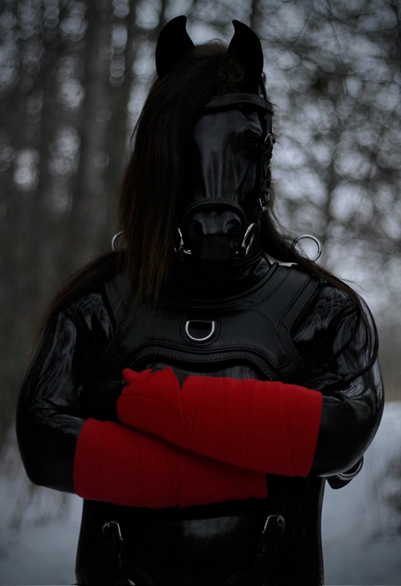 When I set out to get my gear and enter pony play, I asked myself "what have I done to earn this" affording nice tack, suits and gear is one thing. But that wasn't enough for me. I decided that for me to justify the expense, I need to better myself... (1)